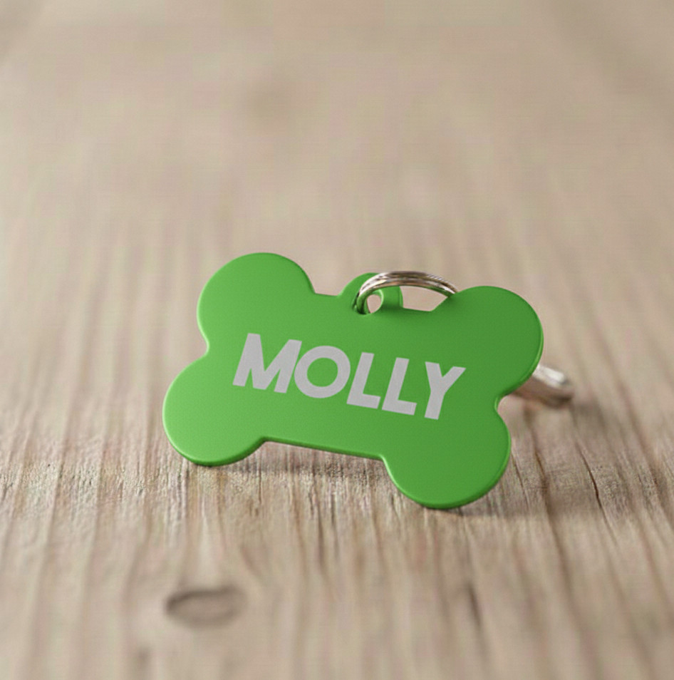 Custom Engraved Metal Dog ID Tag Personalized Pet Tag for Dogs & Cats