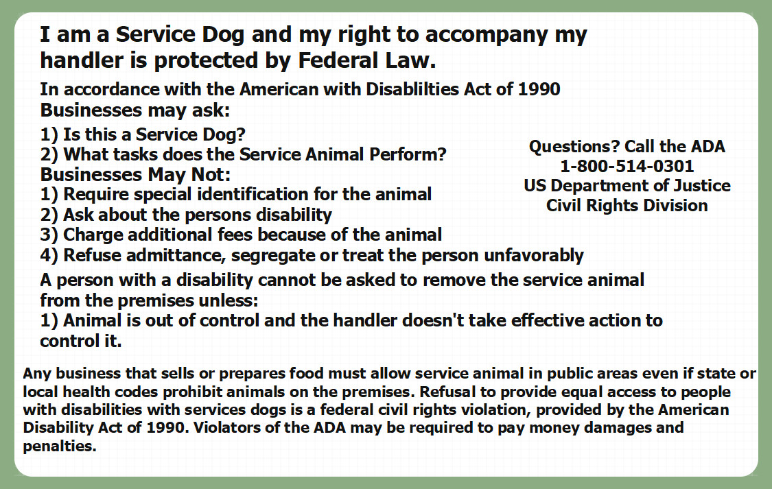 2 SERVICE DOG ID CARD BADGE ADA ESA LAW INFO RIGHTS HARD PLASTIC ACCESS