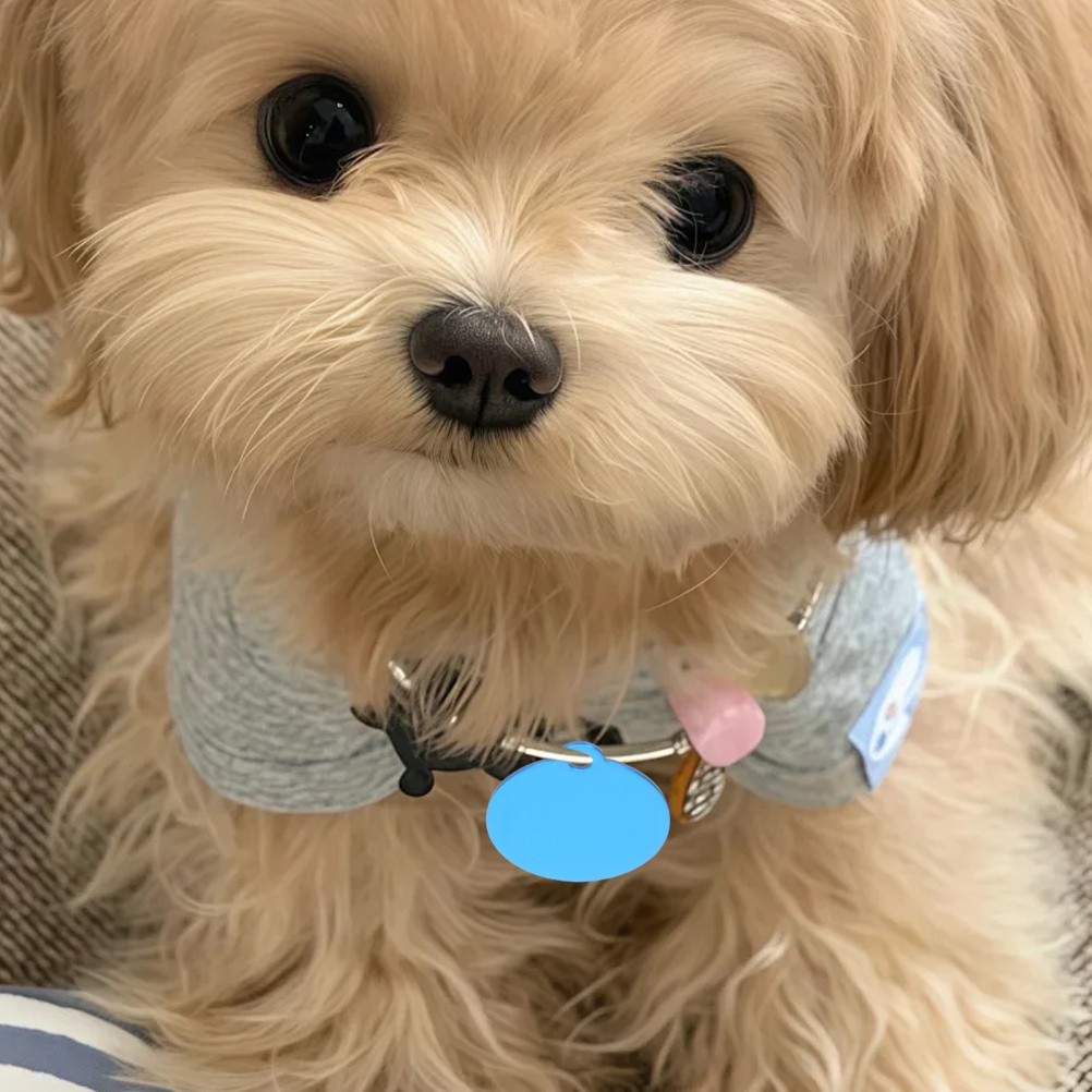 20Pcs Durable Aluminum Pet Tags Blanks Sky Blue Double Sided for Engraved Names