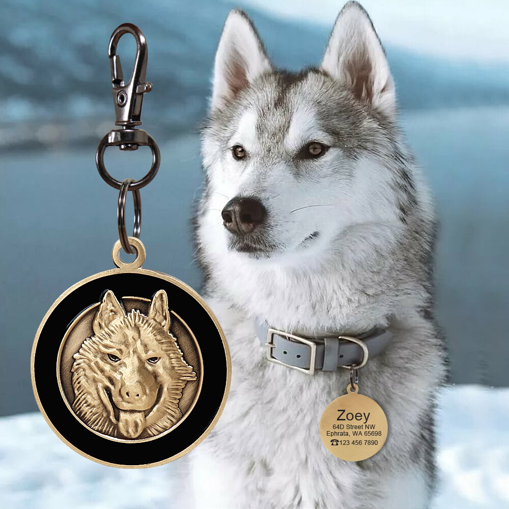 Customized 3D Brass Dog Tags Personalized Pet Puppy ID Name Number Engraved Free