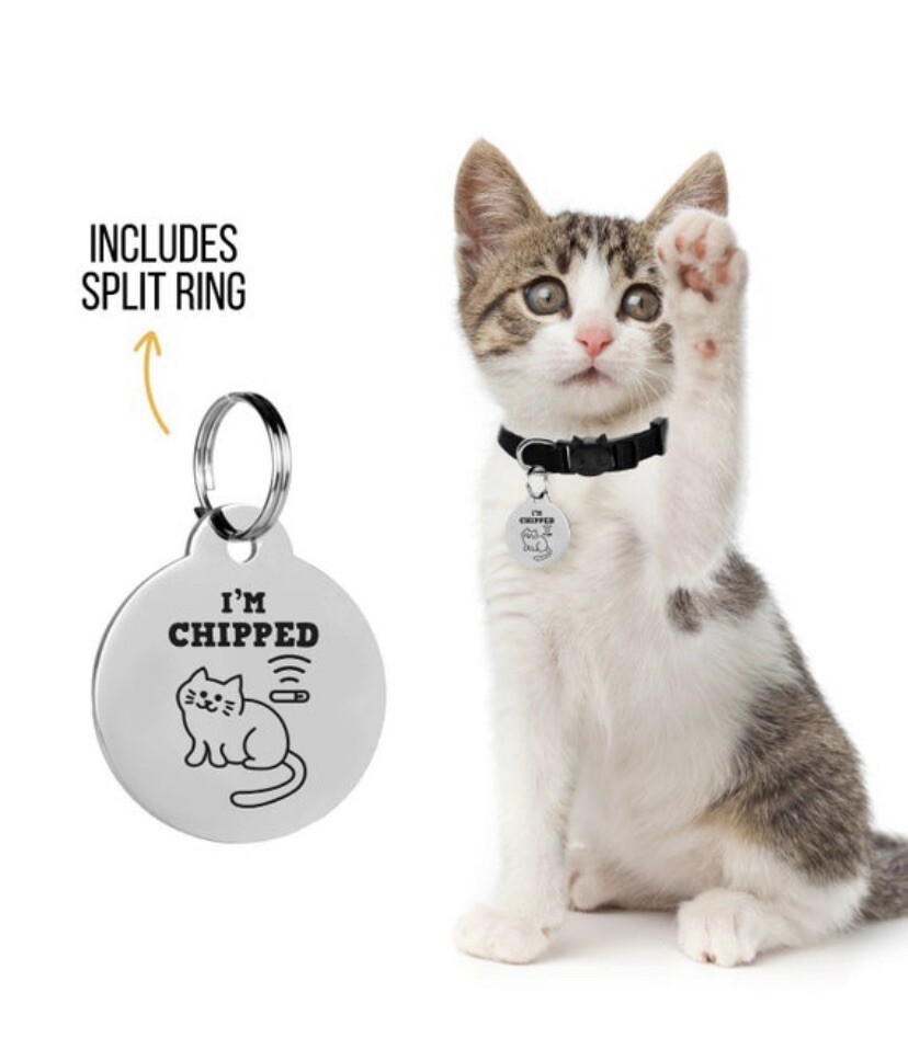 Custom Engraved Dog Tags Funny Pet ID Tag Double Sided Cat Tag Silent Tags