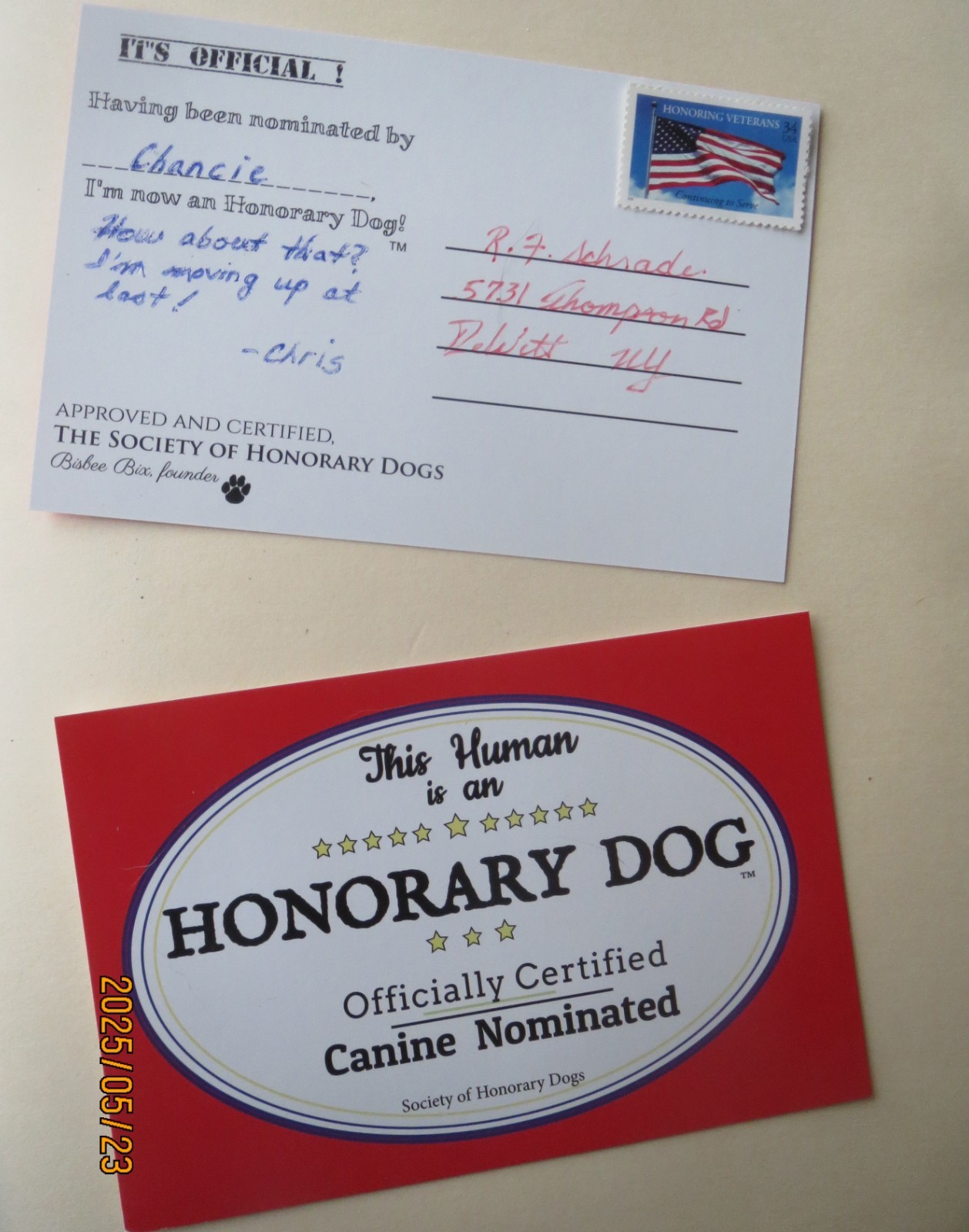LOVE DOGS MORE THAN PEOPLE? Be an Honorary Dog. DOG-LOVER PIN w/ 6 FREE GIFTS