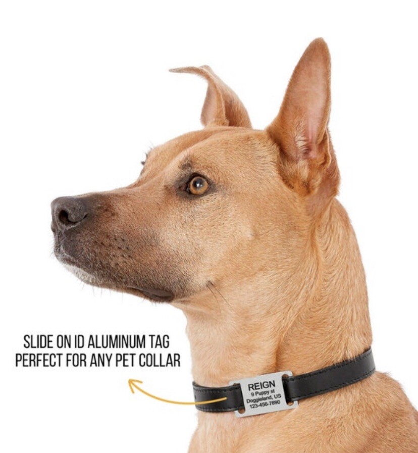 Stainless Steel Slide-On Collar Pet Dog Identification Name Tags Custom ID