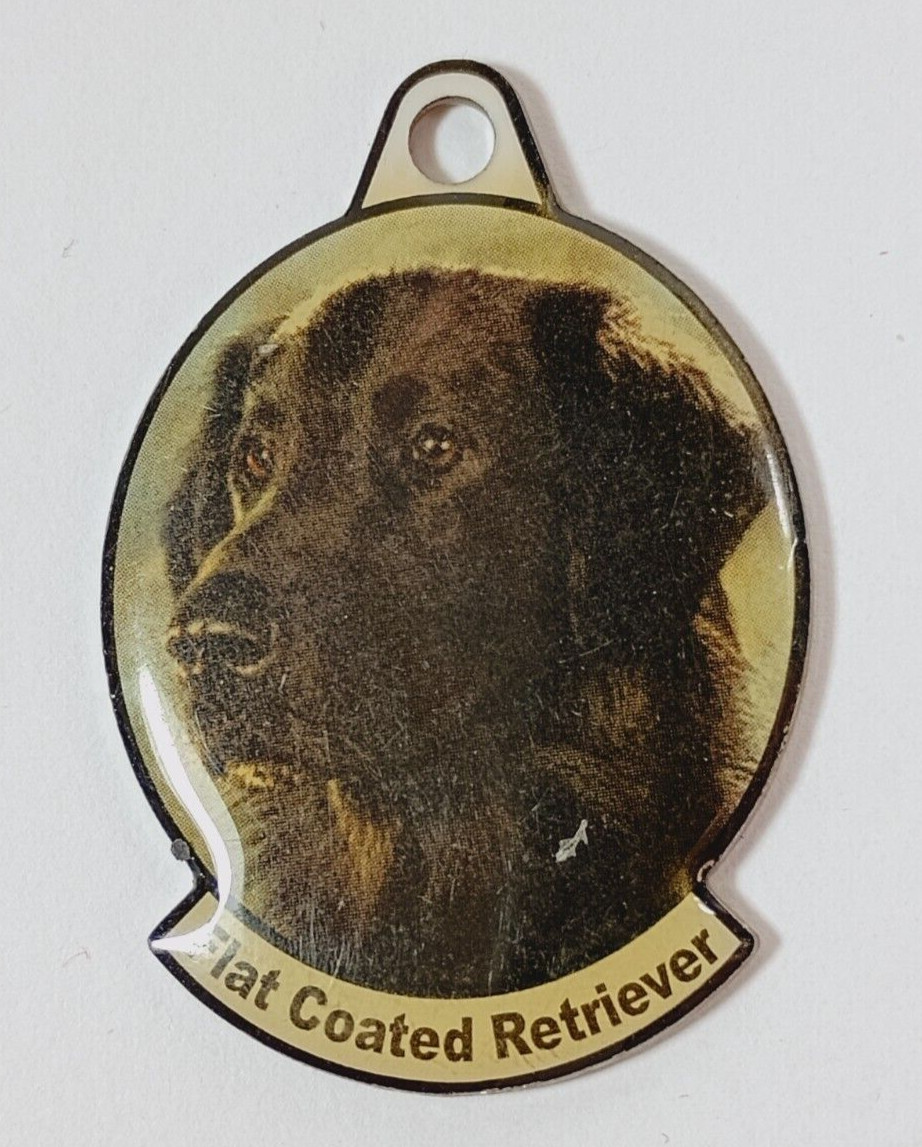 Metal Dog Breed Photo Tag. “Flat Coated Retriever” For Dog Collar or Key Chain.