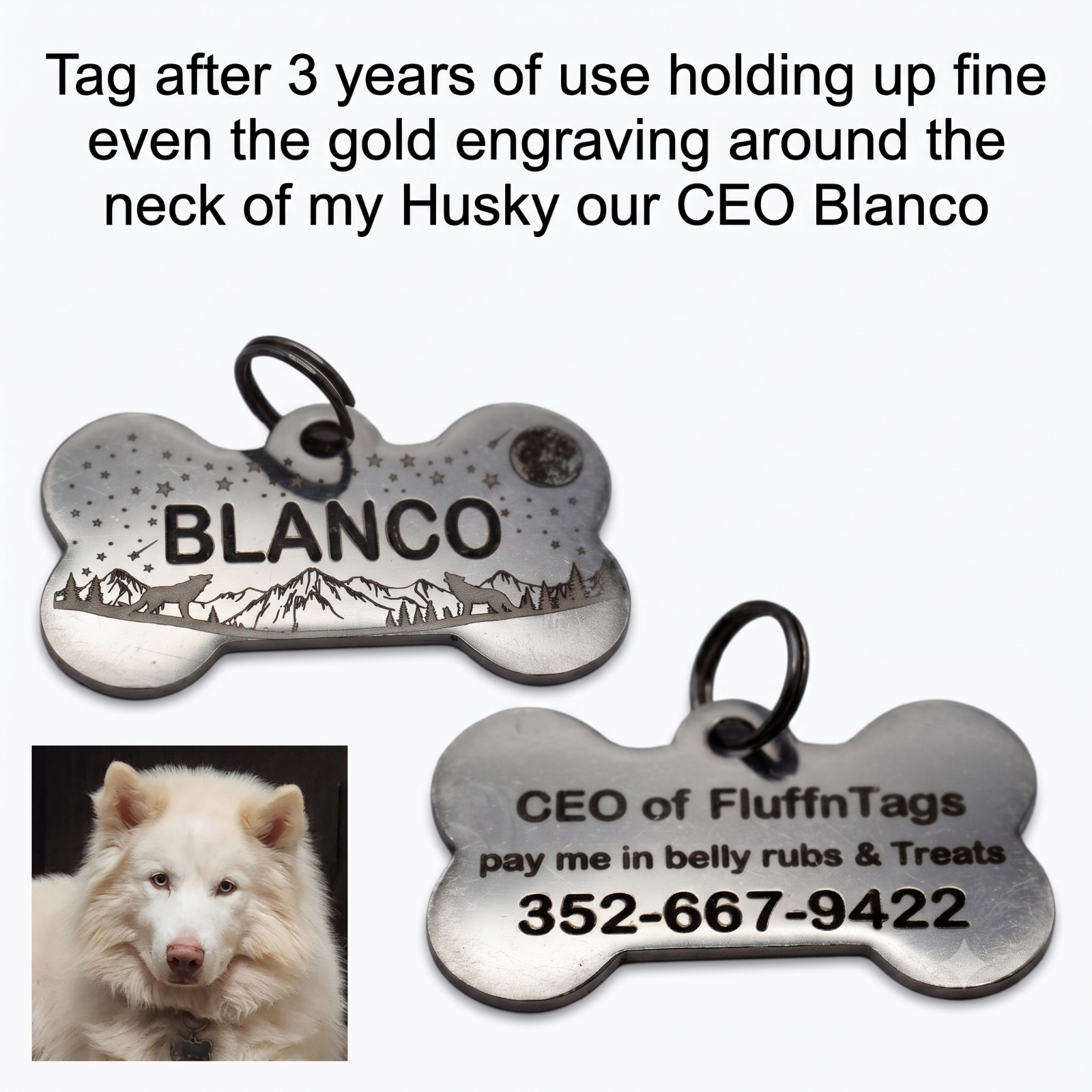 Custom Deep Engraved Stainless Steel Pet ID Tag – Double-Sided Round Paw Cutout