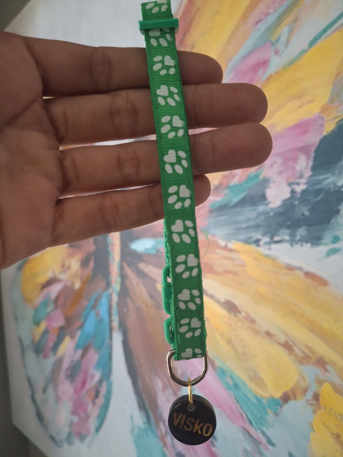 Collar personalizado para mascotas baby yoda