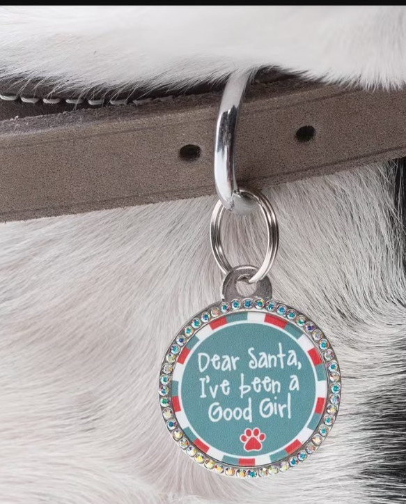 “DEAR SANTA, I’VE BEEN A GOOD GIRL” PET TAG 1 Pc Metal Collar Charm Festive