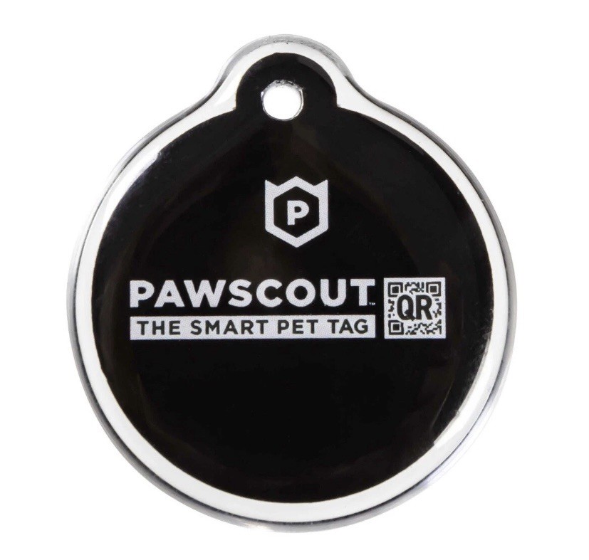PawscoutQR The Smart Pet Tag Finder for Dogs & Cats Connects To Your Phone