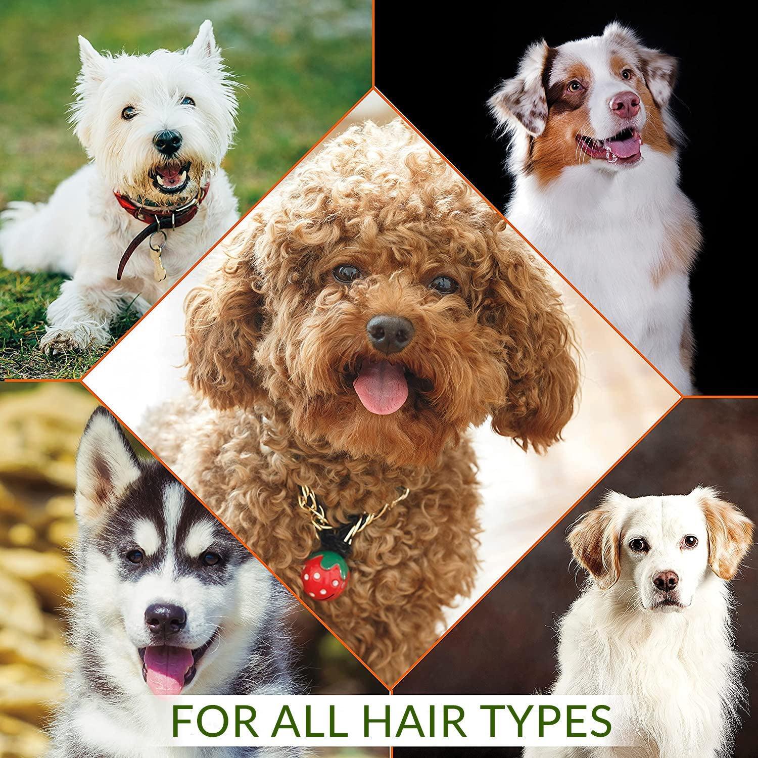 Natural Dog’s Shampoo Bar – With Oats & Shea Butter