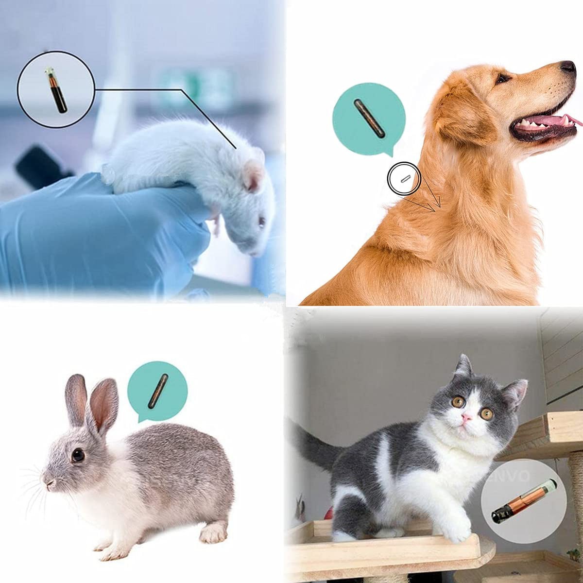 Universal Pet Microchip 134.2khz Registration Animal Implant Chip FDX-B Pet I…