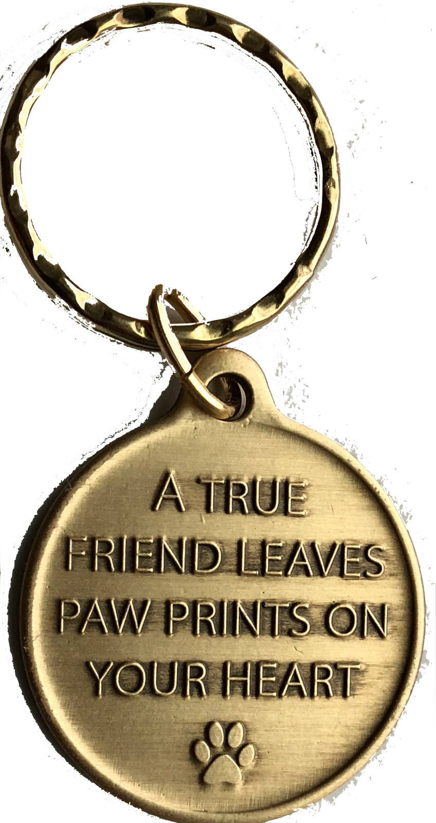 Crazy Cat Lady – A True Friend Dog Pet Keychain Bronze RecoveryChip Design