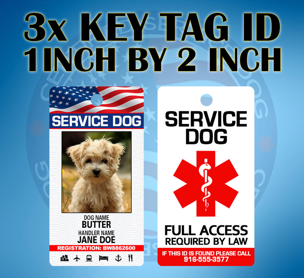3x SERVICE DOG KEY CHAIN TAG / COLLAR TAG FOR SERVICE ANIMAL ID CARD