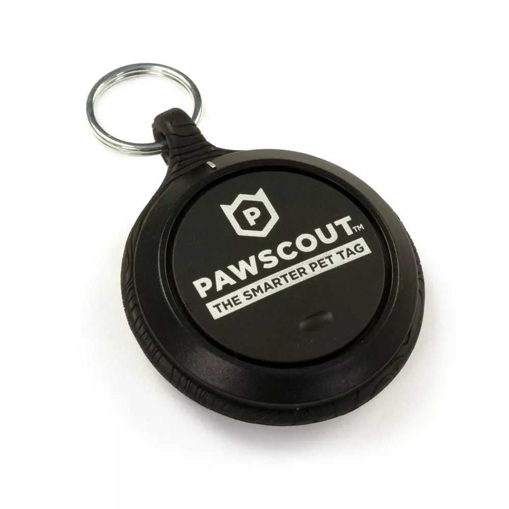 PAWSCOUT The Smarter Pet Tag Community Pet Finder Virtual Pet Leash BRAND NEW