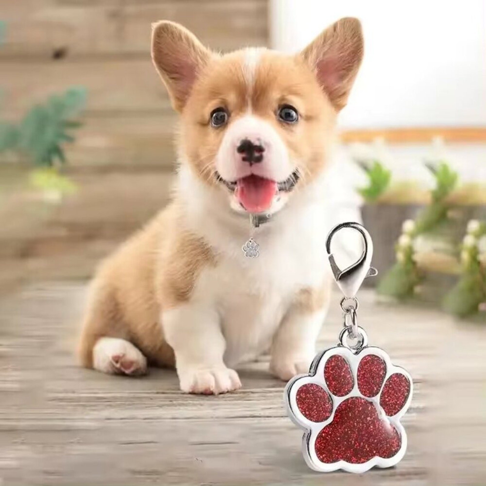 Personalized Engraved Metal Dog Paw Name, ID Tag, QR Code Powered By ScanKeep
