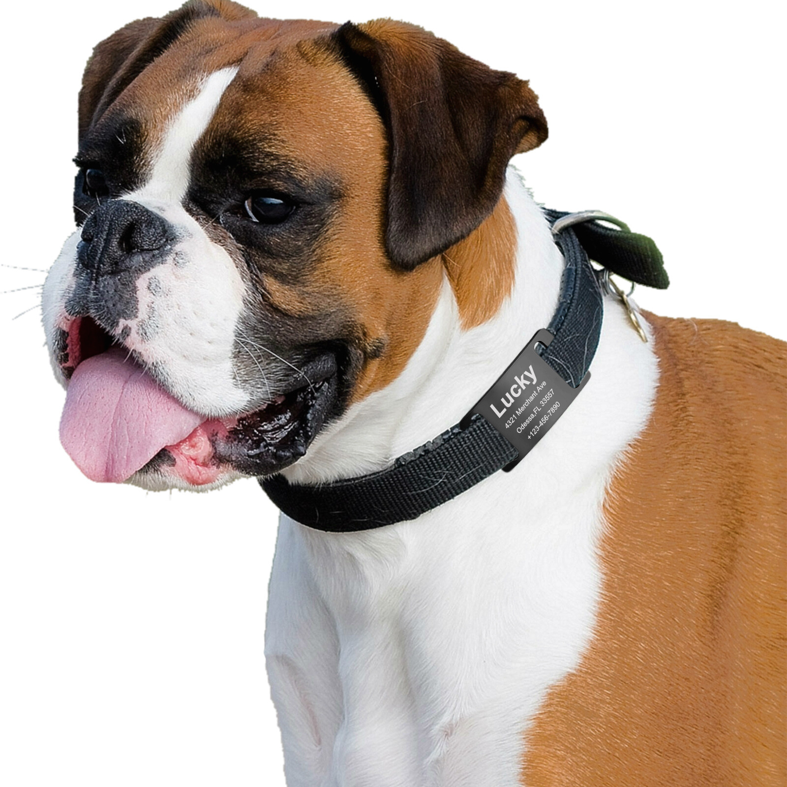 Personalized Stainless Steel Open Slide-on Pet Dog Name Tags Engraved Custom ID