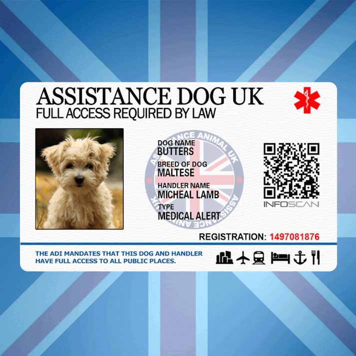 ASSISTANCE DOG UK – SERVICE ID BADGE FOR UNITED KINGDOM GREAT BRITAIN AREA ADi