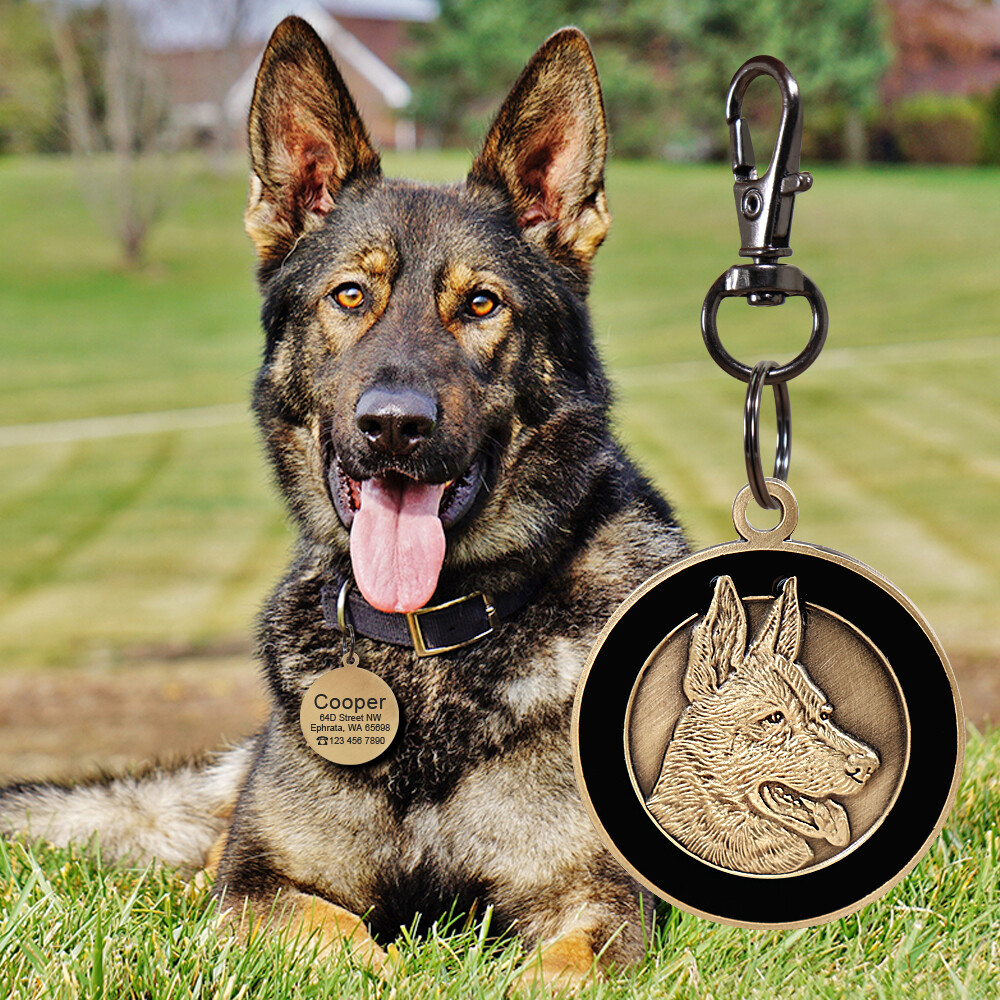Customized 3D Brass Dog Tags Personalized Pet Puppy ID Name Number Engraved Free