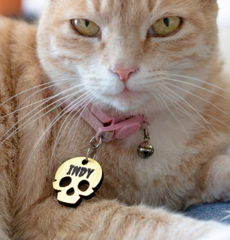 Gold Skull Personalized Dog Cat Pet ID Skull Charm Keychain Collar Human Tag