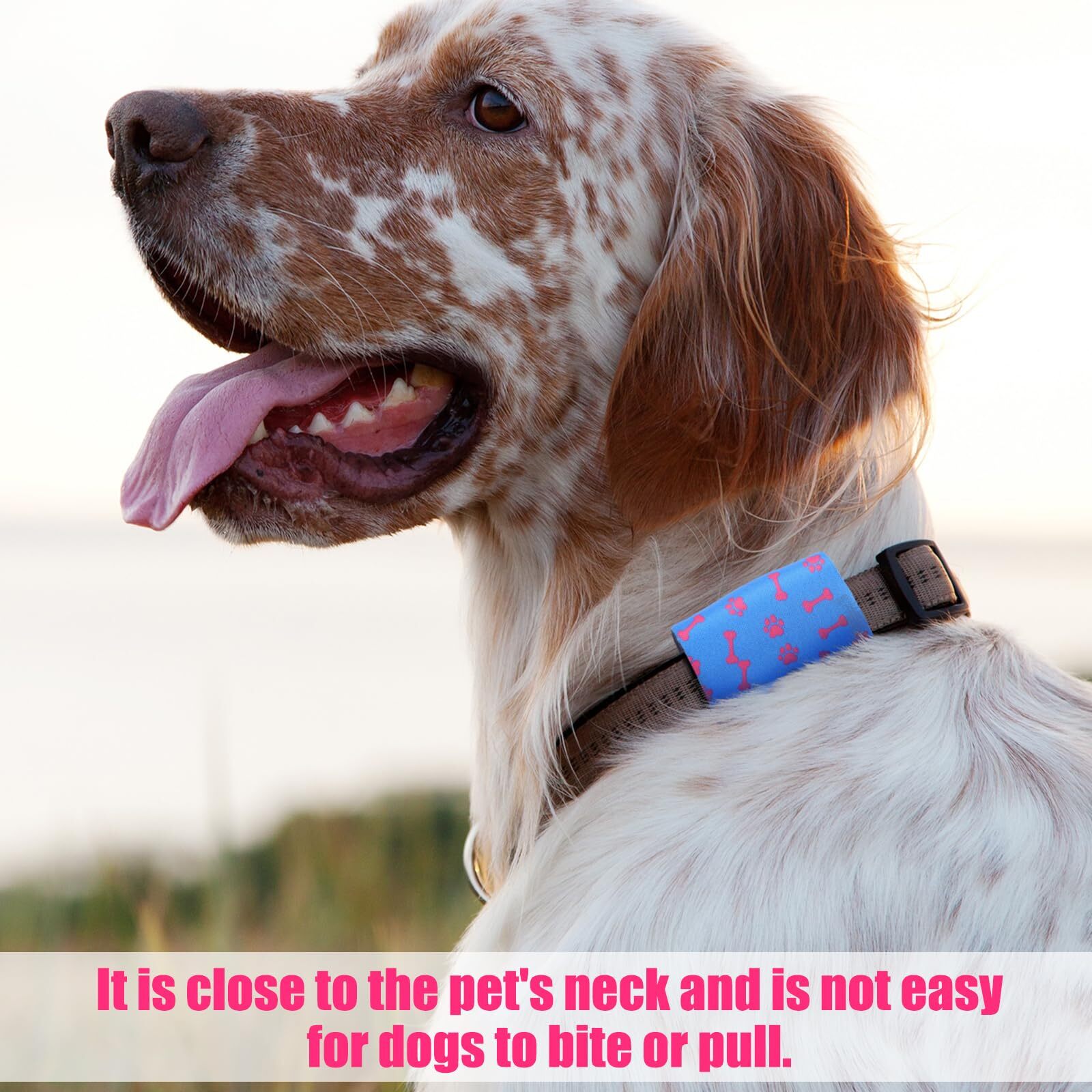 6 Pcs Dog Tag Holder for Pet Collar Dog Tag Silencer Portable cat ID Holder P…