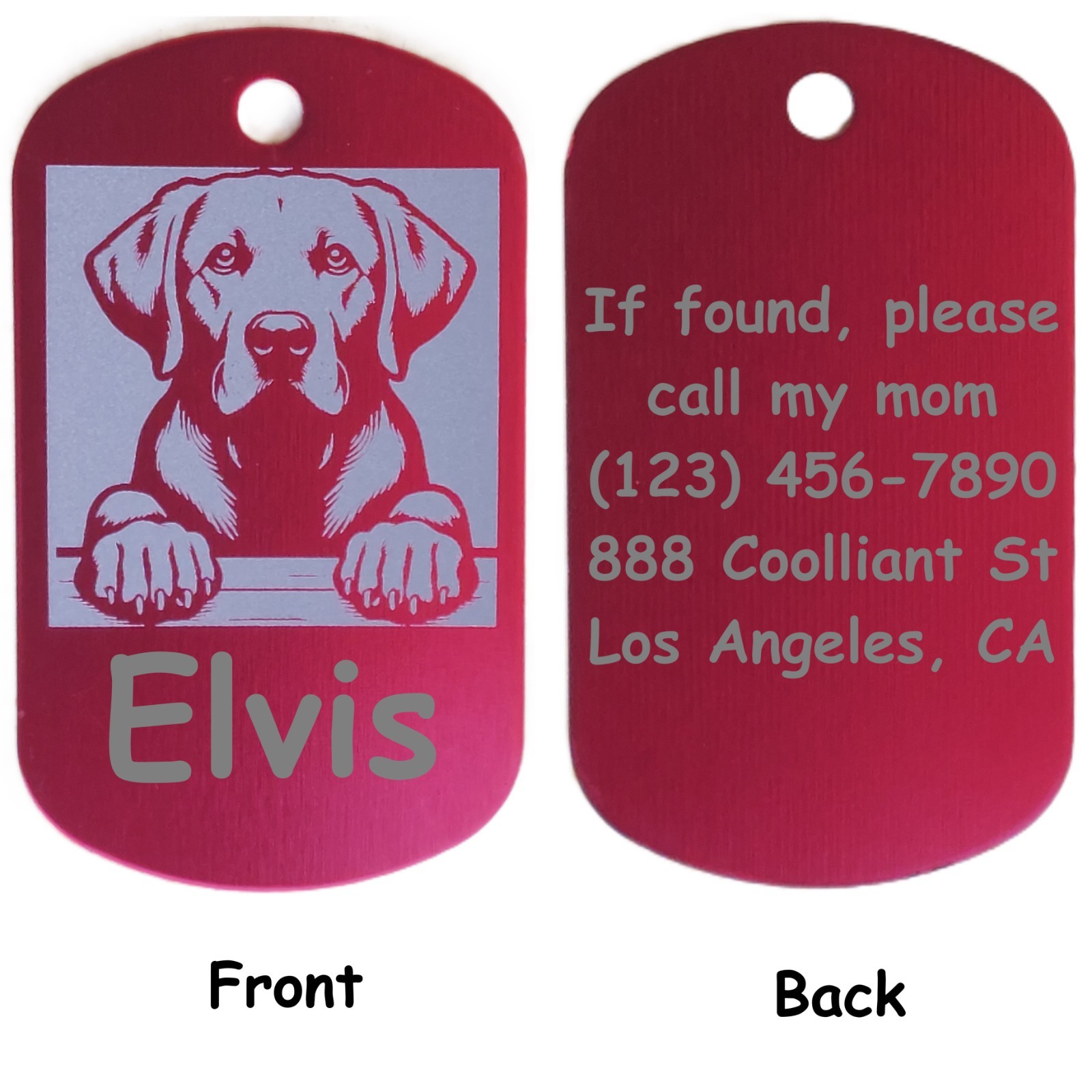 Military Style Personalized Labrador Retriever Dog ID/Name Tag for Pet Collar
