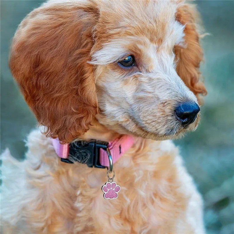 Personalized Pet ID Tag Engraved Glitter Paw Name Custom Tag for Dog Cat Collar