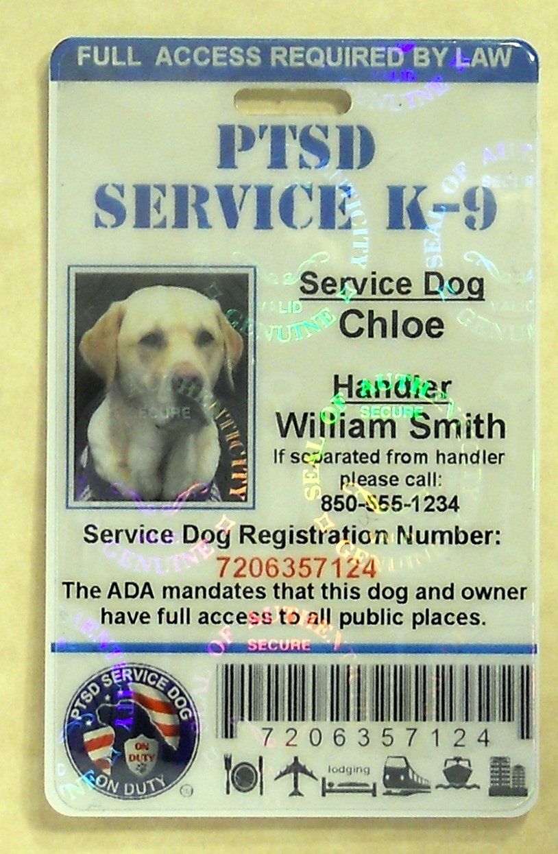 HOLOGRAPHIC PTSD SERVICE DOG ID CARD ASSISTANCE ANIMAL ID BADGE ADA TAG 1 PTSD H