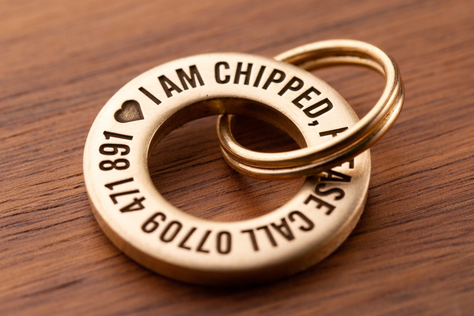24mm Solid Brass or Stainless Steel Dog / Pet ID Tag