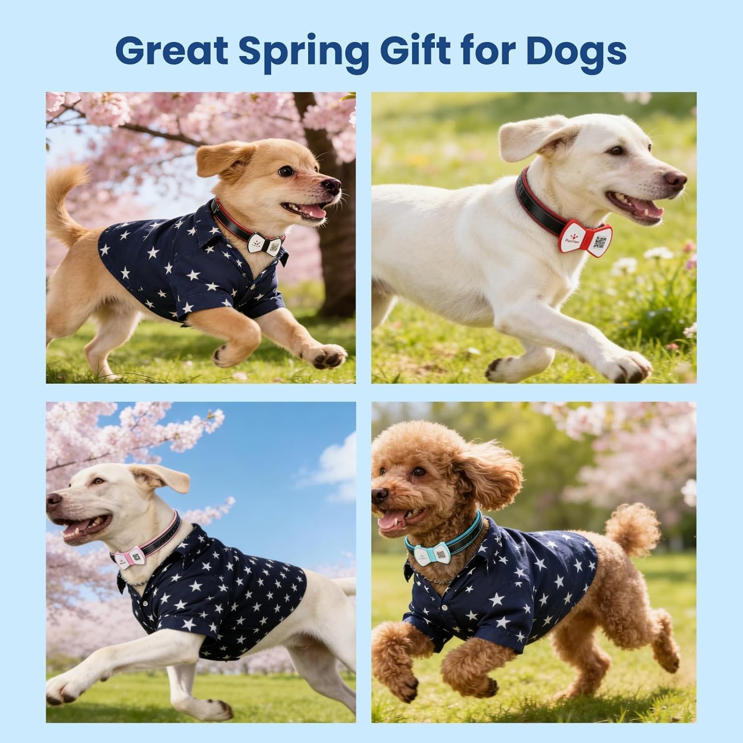 Smart Pet ID Tag, QR Code Dog Tag, No Fee, Waterproof Silent Silicone Pet Nam…