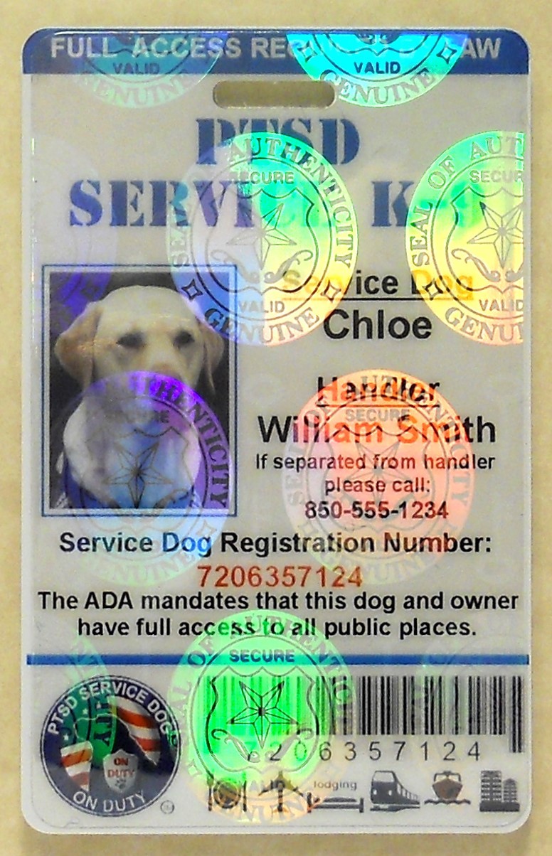 HOLOGRAPHIC PTSD SERVICE DOG ID CARD ASSISTANCE ANIMAL ID BADGE ADA TAG 1 PTSD H