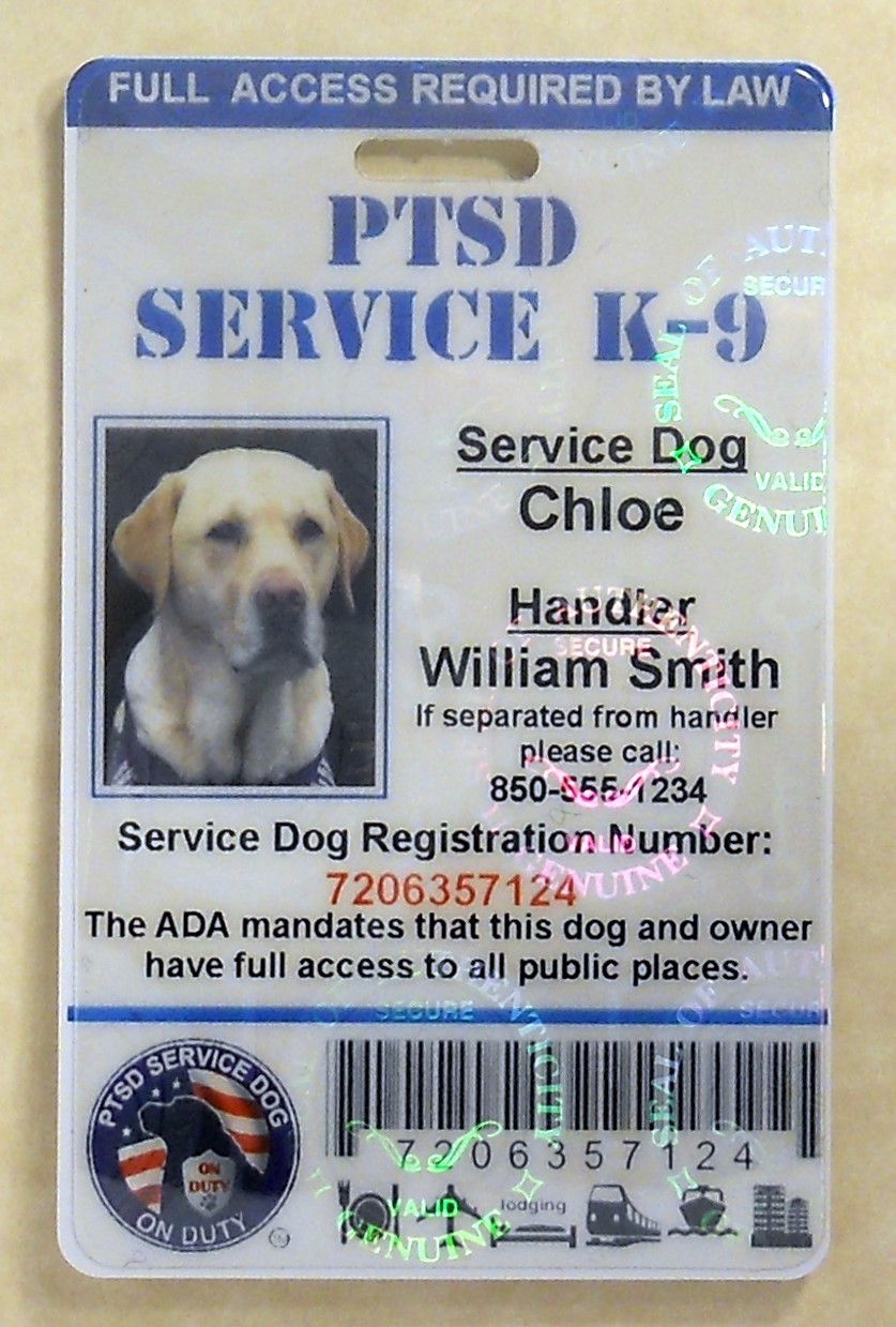 HOLOGRAPHIC PTSD SERVICE DOG ID CARD ASSISTANCE ANIMAL ID BADGE ADA TAG 1 PTSD H