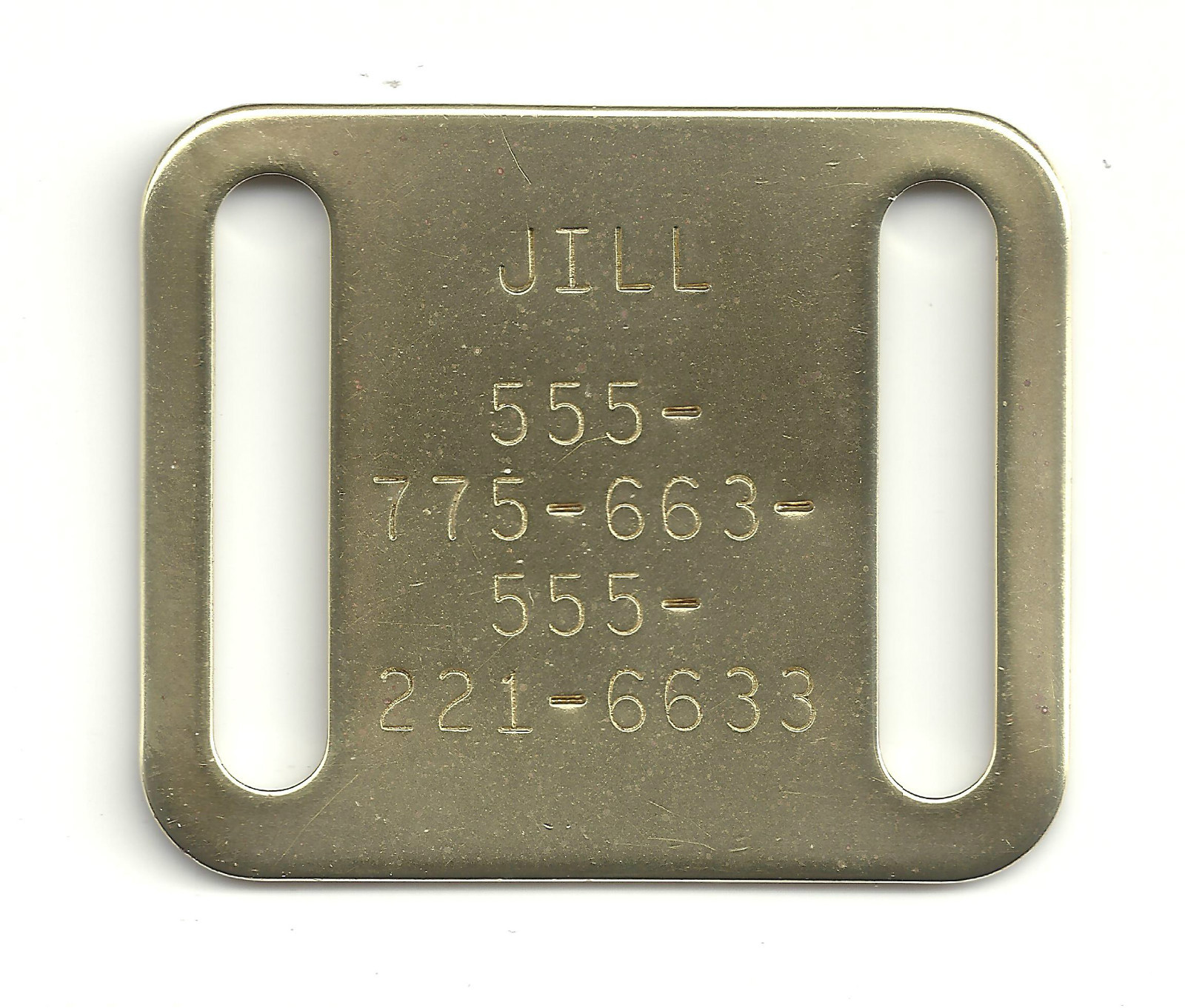 Quiet Square Brass Slide On Fits 1″ Collar Pet ID Name Tag No Hooks