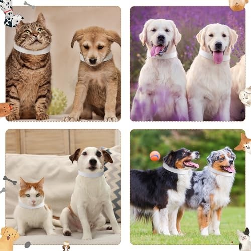 500 Count 20inch Adjustable Paper Dog Collars with Tear Resistant Waterproof Whe