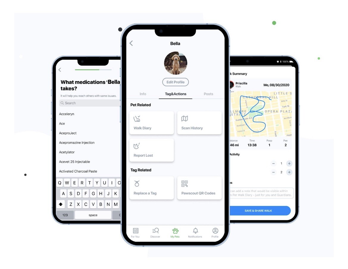 PawscoutQR The Smart Pet Tag Finder for Dogs & Cats Connects To Your Phone