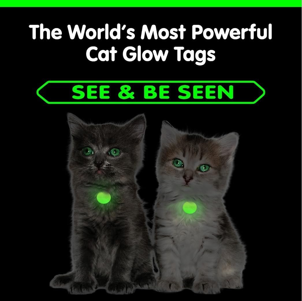 Glow in Dark Cat Collar Tags Safety Pet ID Tags 12hr Night Glow