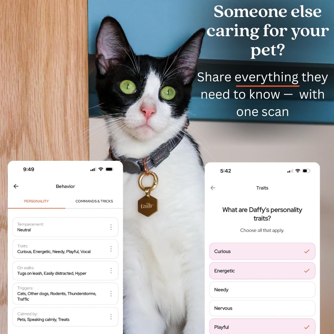 Hanging QR Code Pet ID Tag Large Gold Dog Cat Custom Profile Smart Tracker