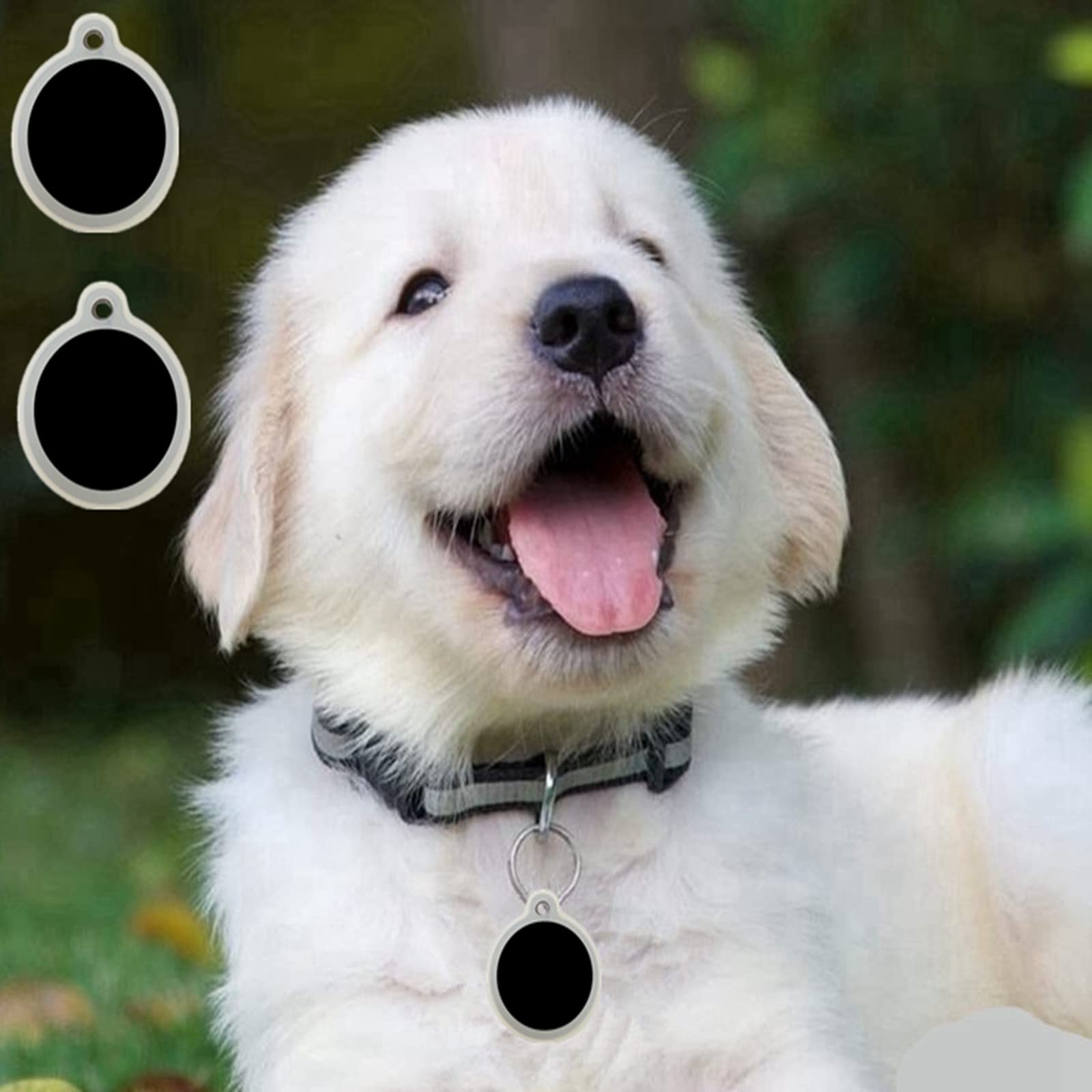 Dog Tag Silencer, Extra Large Silicone Round Protector for Pet ID Tags, 6 Pie…