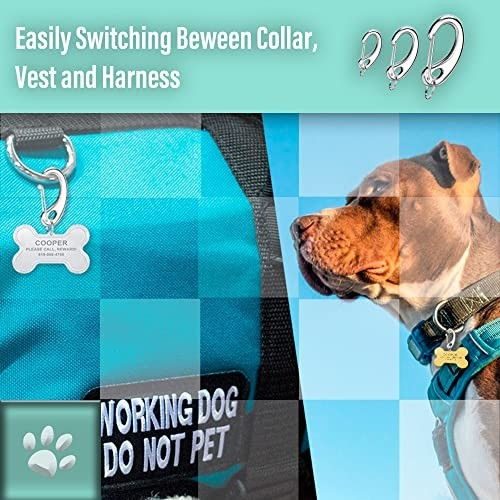 Pet ID Tag Quick Clip & Spring-Load Hook Combo – Fits Standard Medium Large Pets