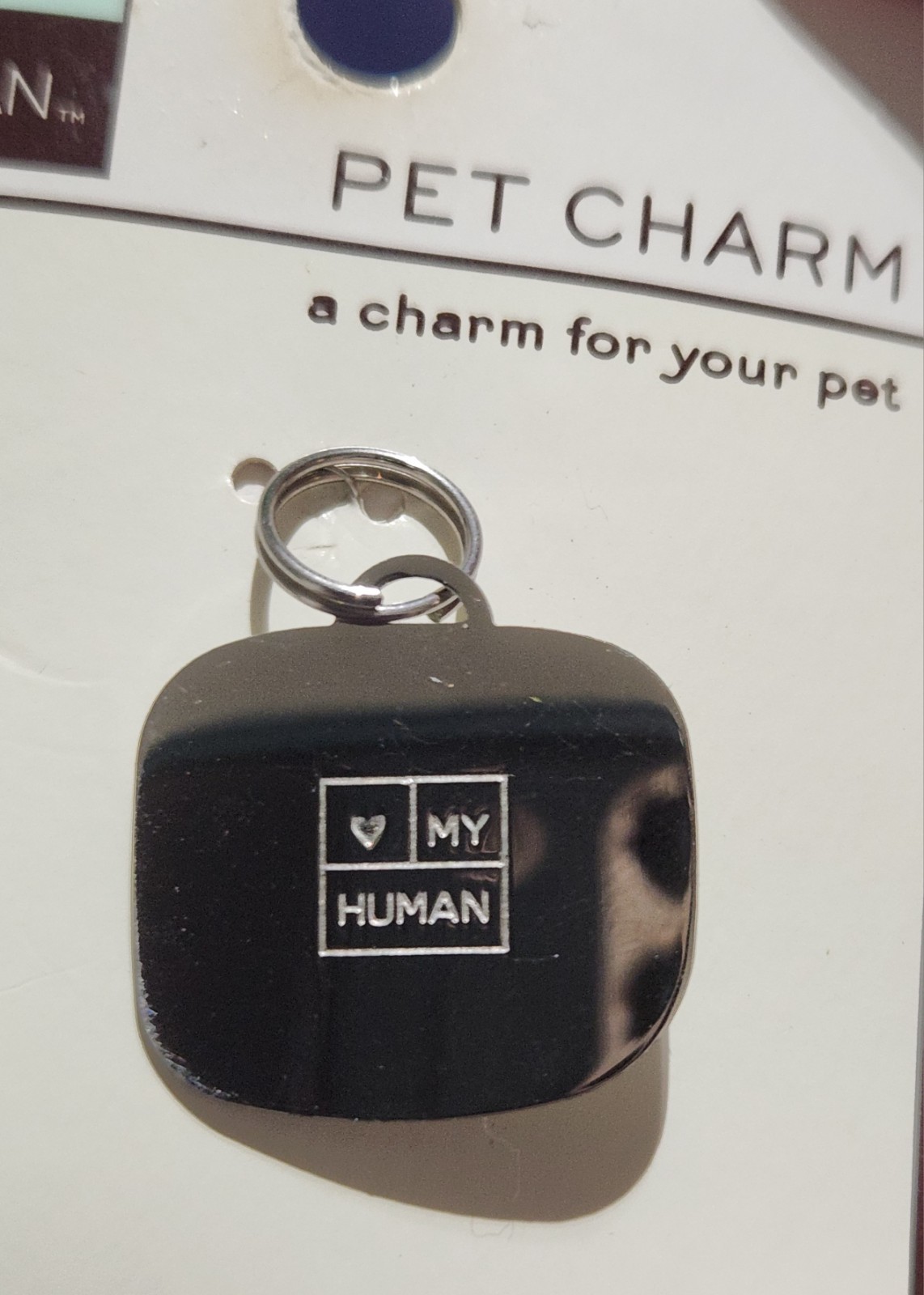 Pet Collar Charms I LOVE MY HUMAN Pet Charms