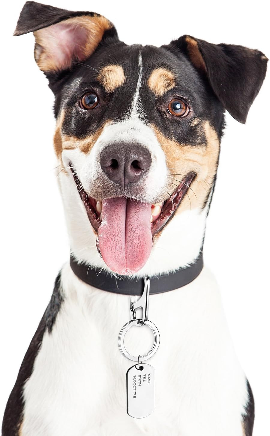 3 Sets Dog Tag Clip ID Tag with Rings Holder for Dogs and Cats Collars Harnesses