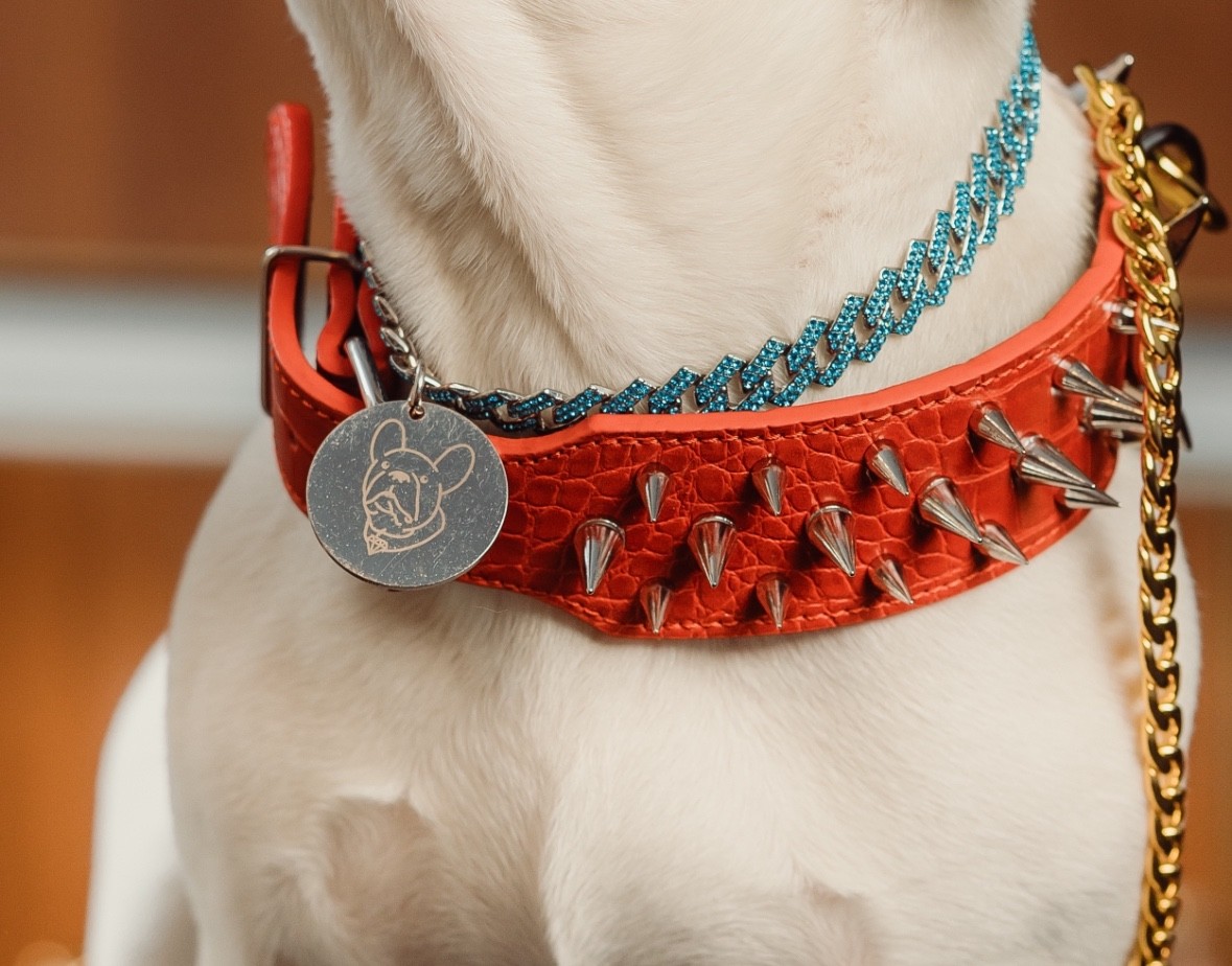 Gold Dog Cuban Chain Collar & Dog Tag Charm-SMALL Dog