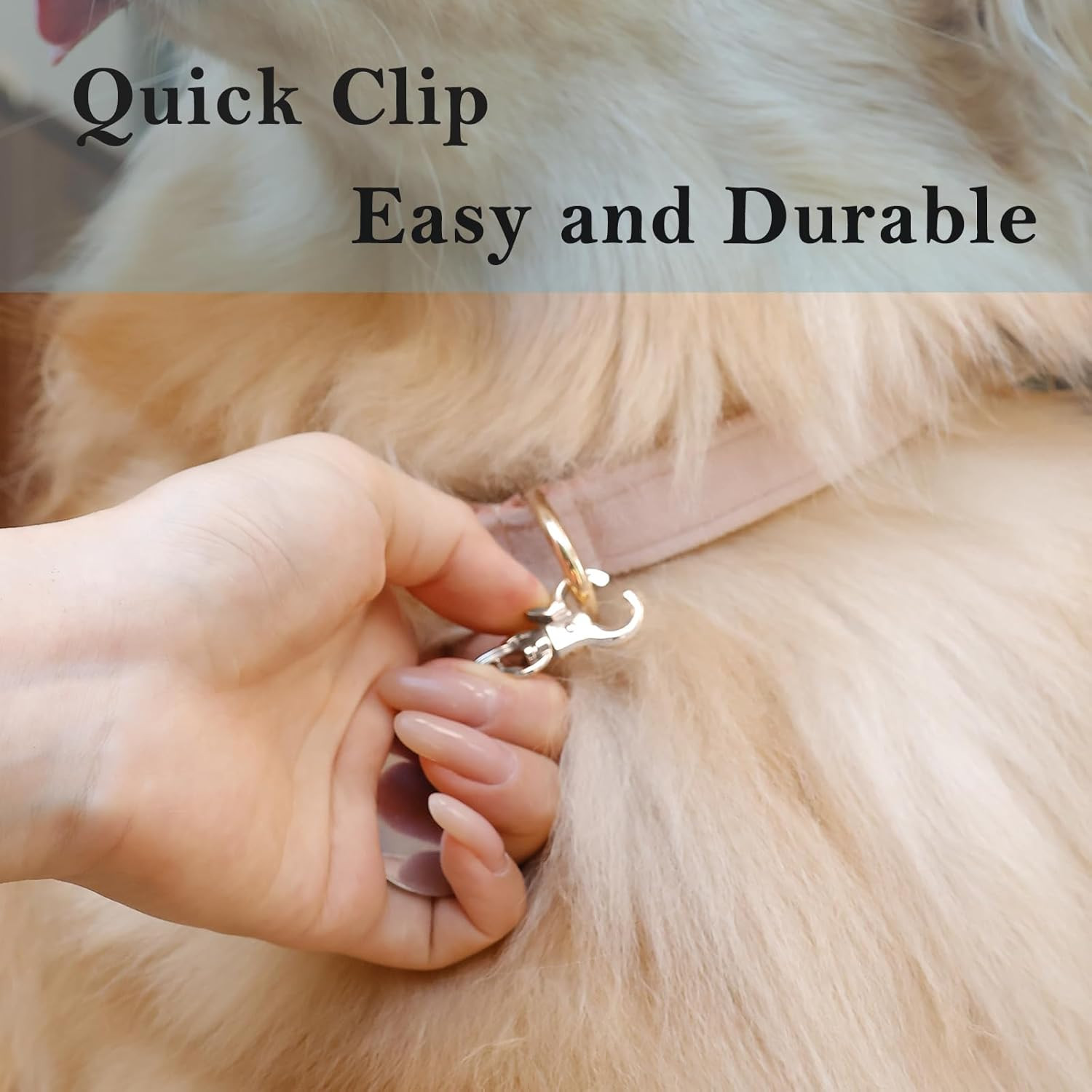 Dog Tag Clips 2 Pack Easy Change for Pet ID Tag Quick Clips Small Medium Large D