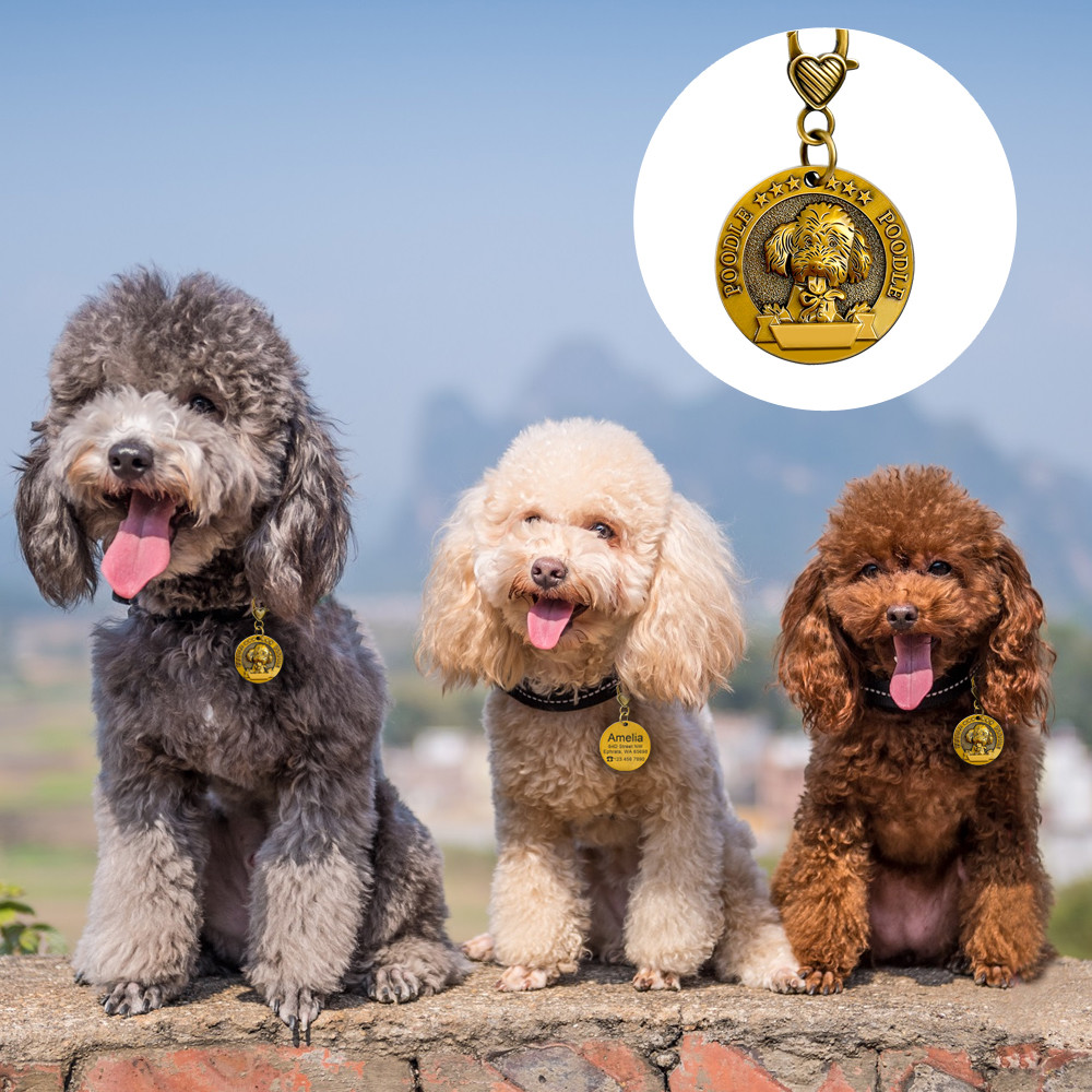 3D Personalized Dog Tags Dog Breeds Pet Name ID Free Engraved Brass for Collar