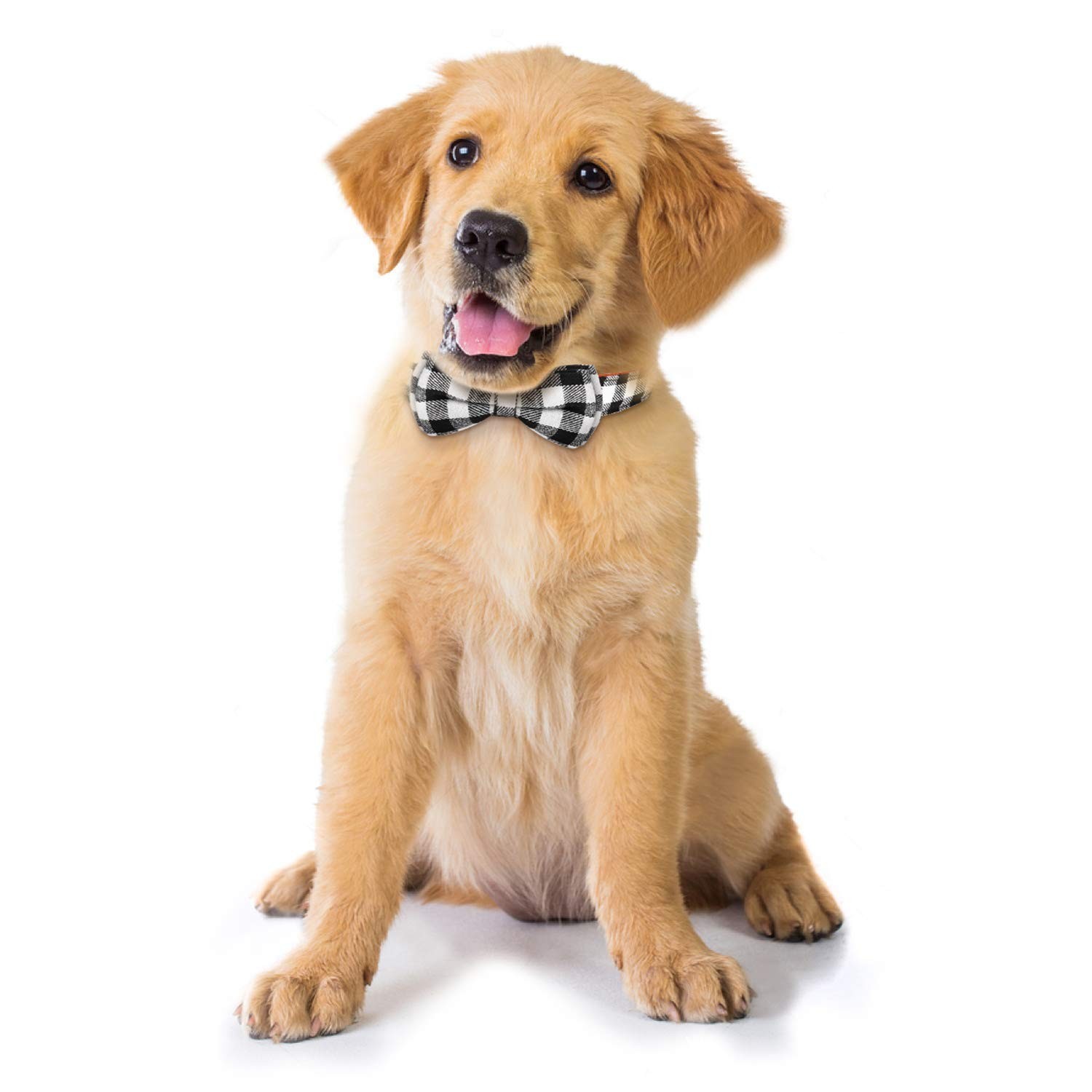 Dog Bow Tie, TAGATMI Plaid Bow Tie Dog Collar Unique Lock Buckle Soft Comfort…