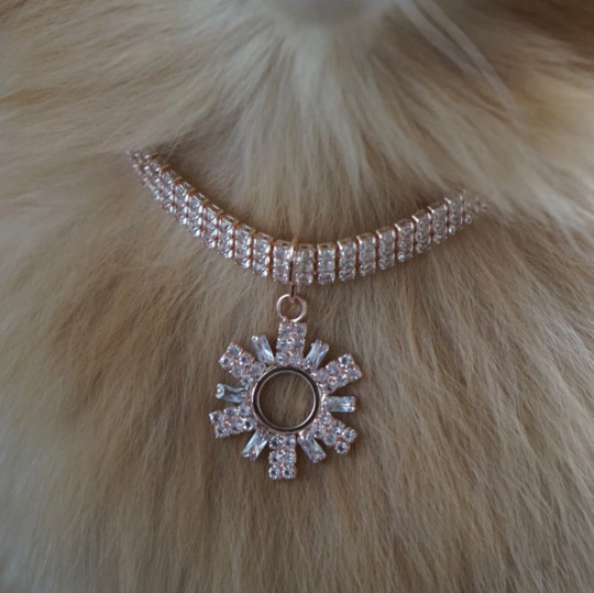 Necklace for dogs | Dog Rhinestone Rose Gold Tone Charm Necklace | Dog jewelry