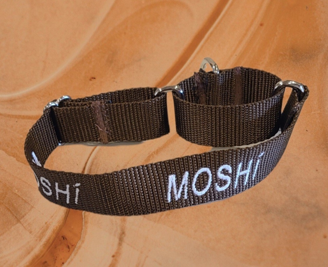 PERSONALIZED Embroidered Martingale Dog Collar Pet ID Tag – Name and Phone!