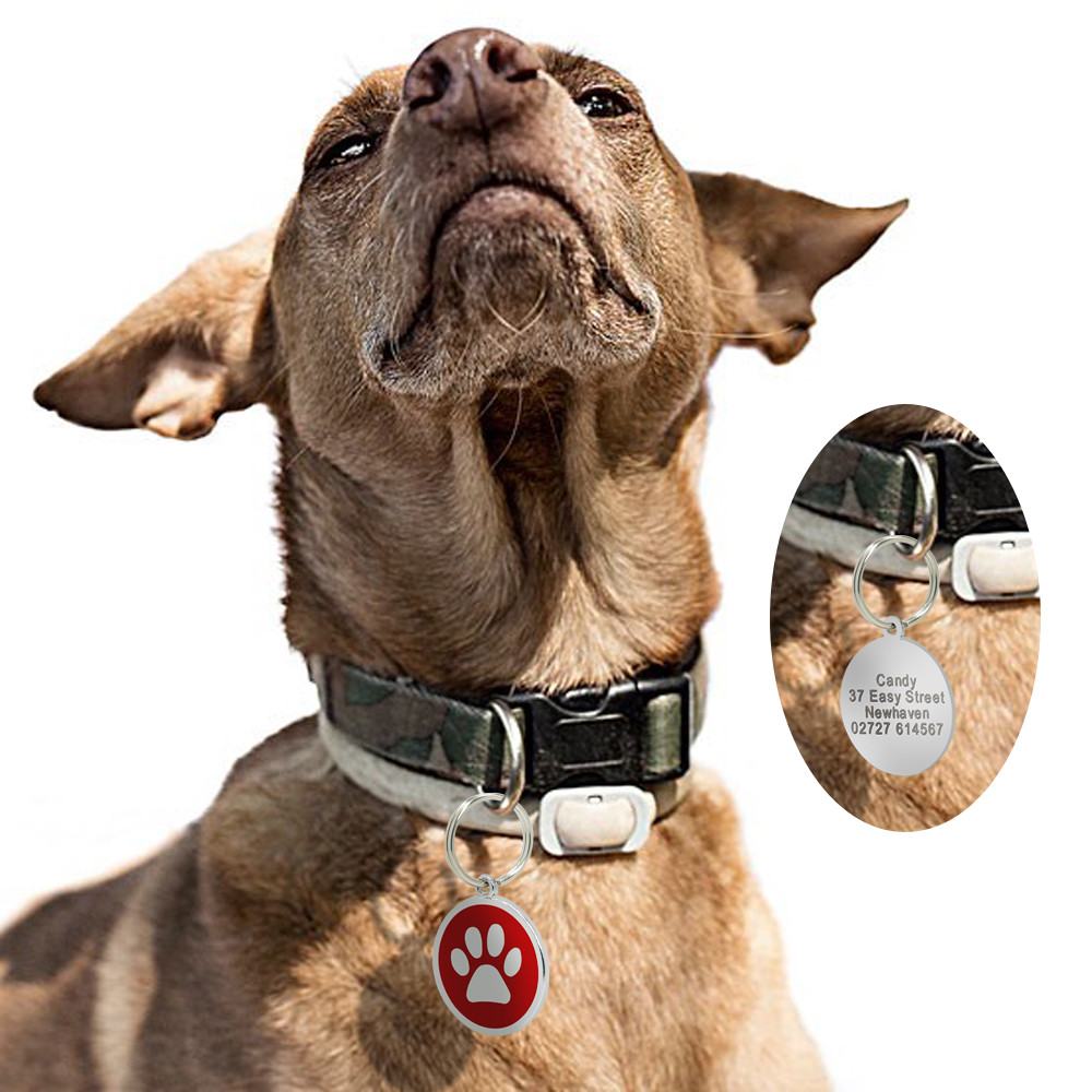 Custom Personalized Dog Tags Round Bone Paw Print Disc Free Engraved Cat ID Tag