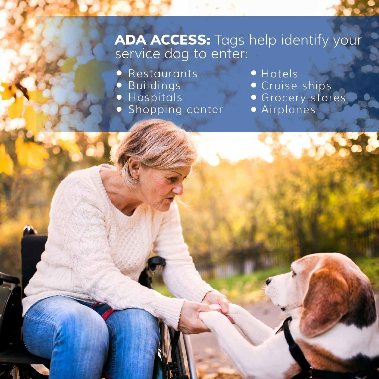 ActiveDogs Service Dog ID – Medical Alert Tag for Collar, Vest or Harness – D…
