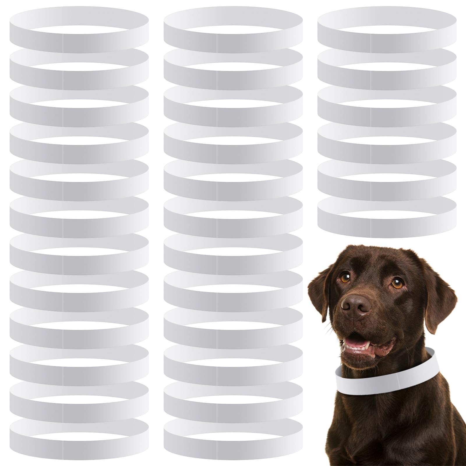 500 Count 20inch Adjustable Paper Dog Collars with Tear Resistant Waterproof Whe