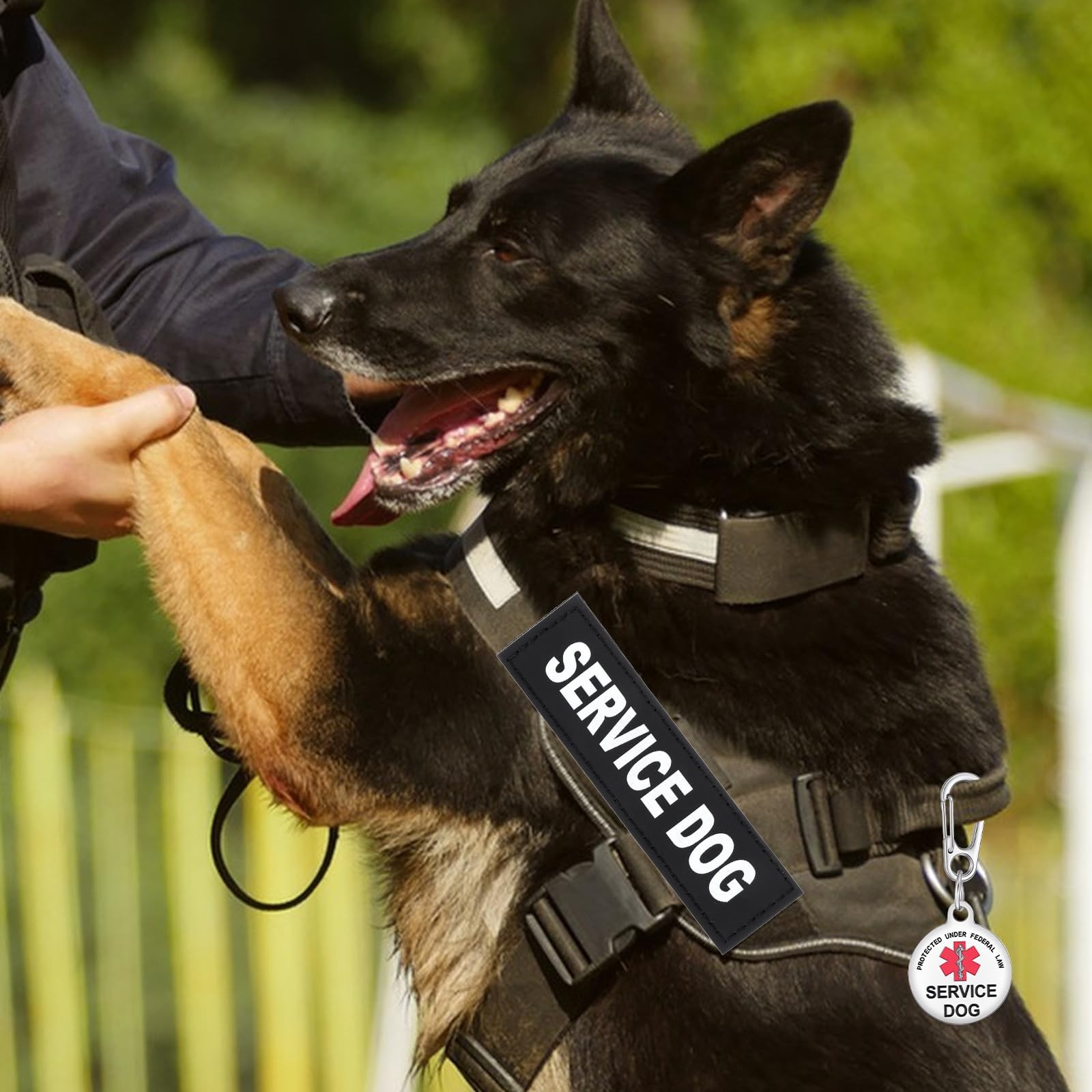 2pcs Service Dog Patches and ID Tags, Removable 11×3 cm/4.33×1.18 in, Black