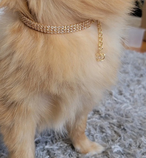Dog Jewelry Rhinestone Yellow Gold Tone Necklace With Crown For Dogs / Cats